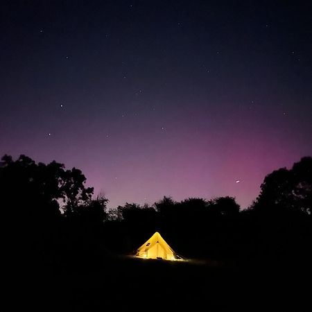 Bell Tent 4M Fossewold Farm Camping Moreton-in-Marsh المظهر الخارجي الصورة