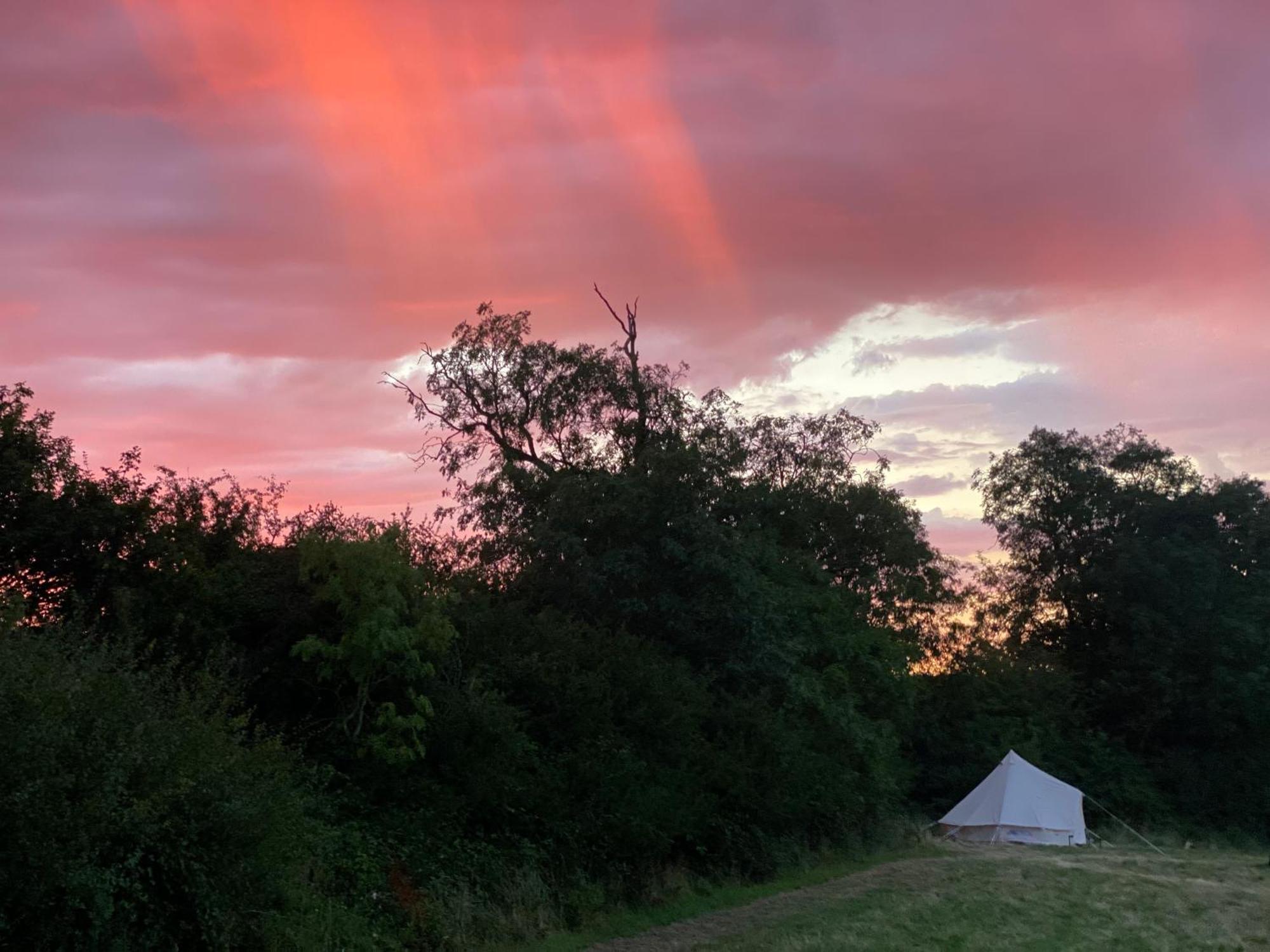 Bell Tent 4M Fossewold Farm Camping Moreton-in-Marsh المظهر الخارجي الصورة